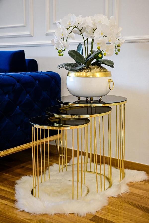 Luxury Karic Free Parking Apartment